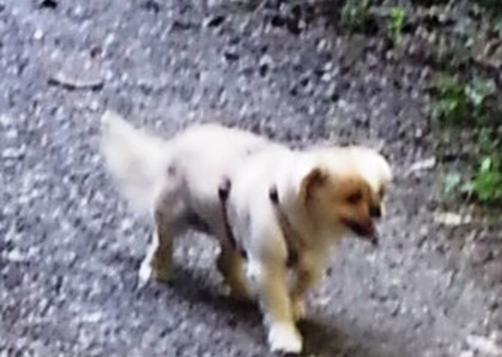 happy_1439323067Jenny2.jpg