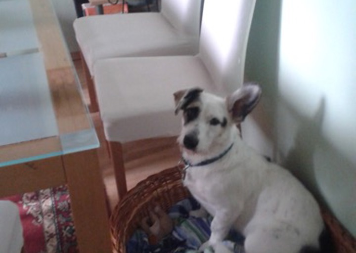 happy_143860618820150719_120543.jpeg