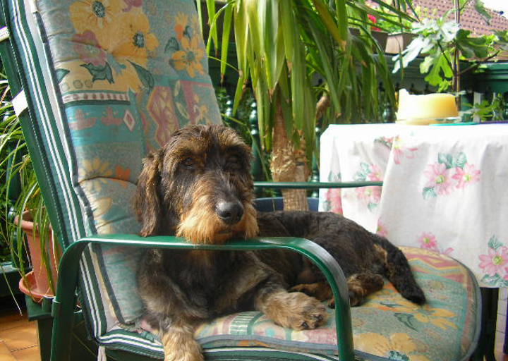 happy_1438634585SANY0920.JPG