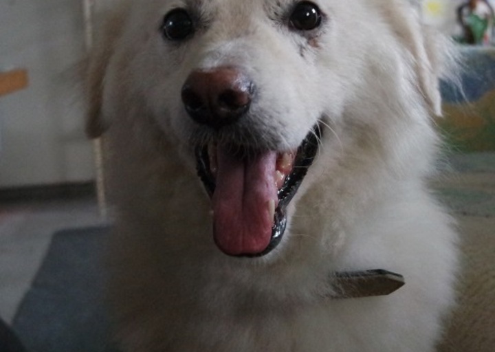 happy_1438606734Foto_3.jpg