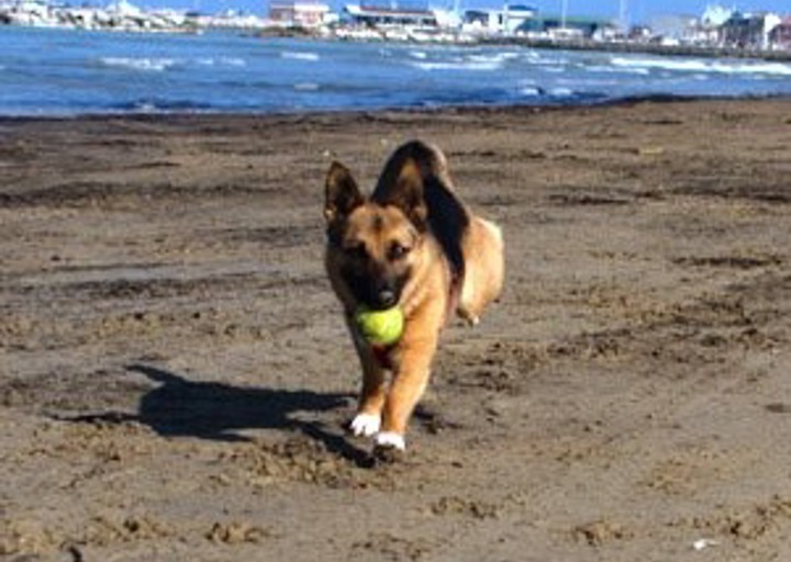 happy_1438607711Foto_3.jpg