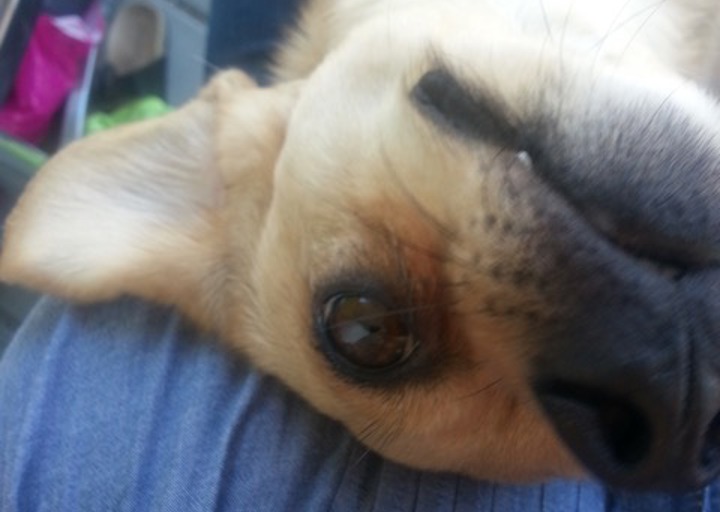 happy_143860595620150429_160100.jpeg