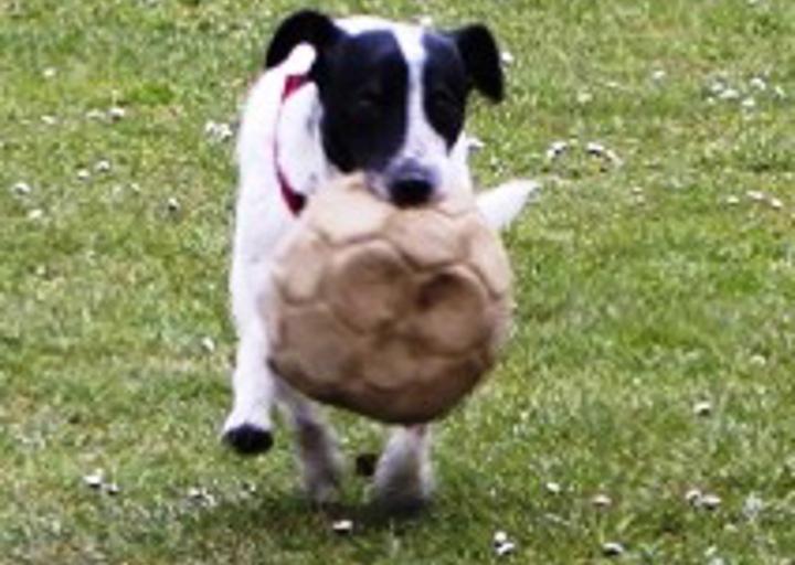happy_1438114876Ben.jpg