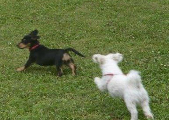 happy_1437680135Foto_4.jpg