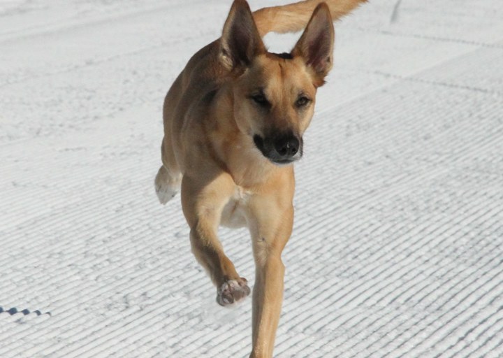 happy_1435928159Foto_5.jpg