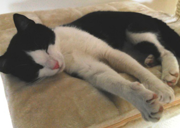 happy_1435928457Cedric.jpg