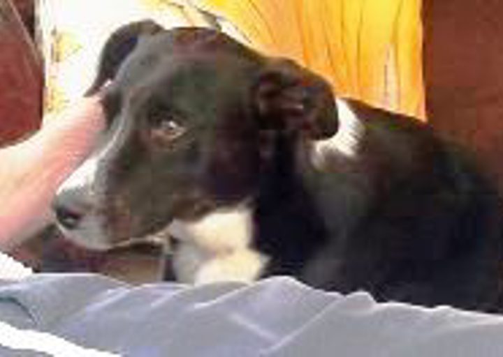 happy_1431116833Kuki_3.jpg