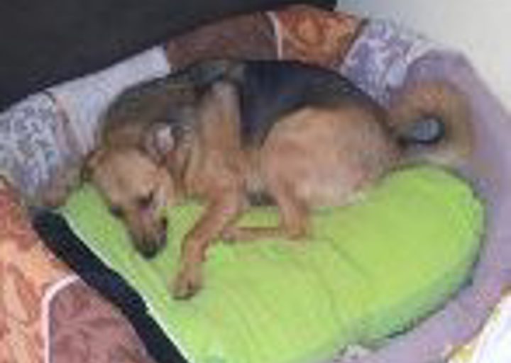 happy_1431116833Kuki_4.jpg