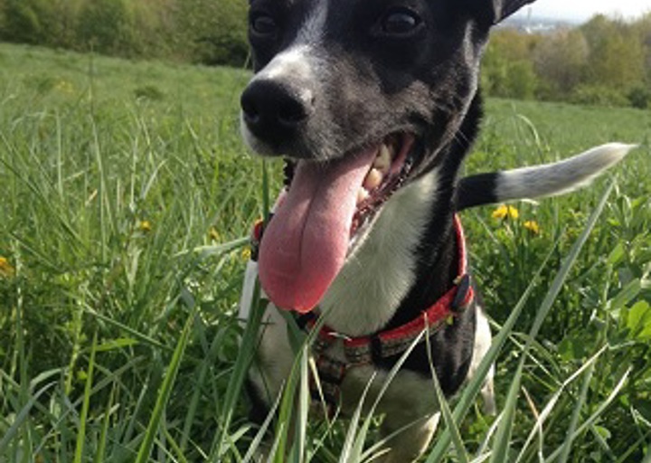 happy_1431115228Una.jpg