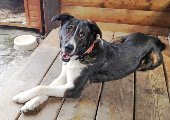 happy_1430167303Lucky_3.jpg