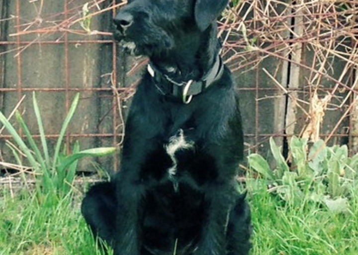 happy_1429448839Hera_1.jpg