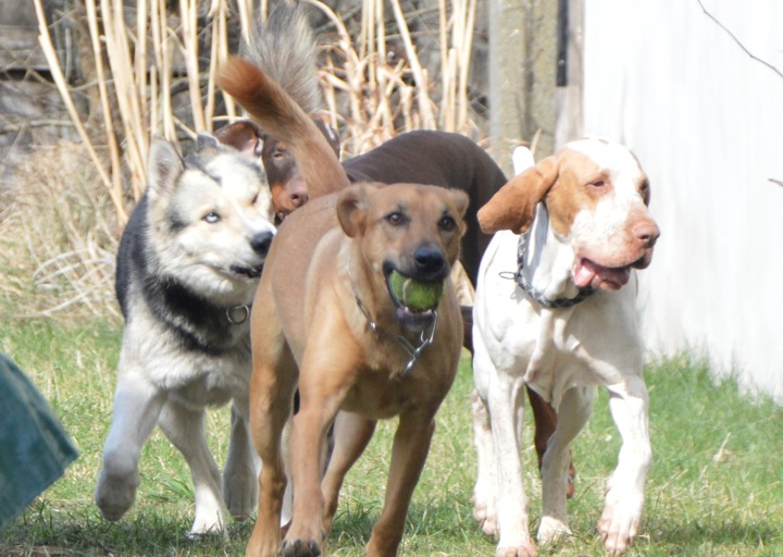 happy_1427718197Willow_4.jpg