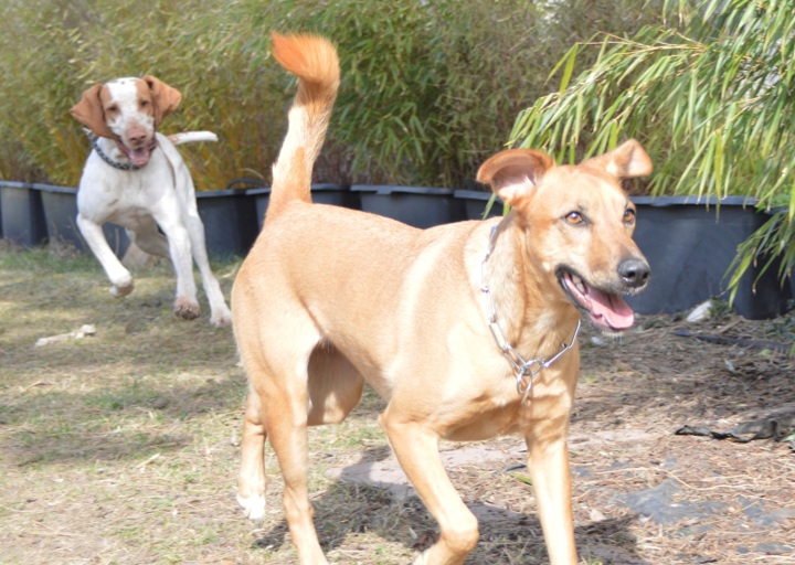happy_1427718197Willow_5.jpg