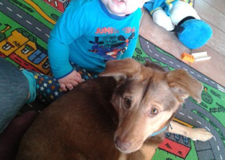 happy_1427488107Biscuit1.jpg