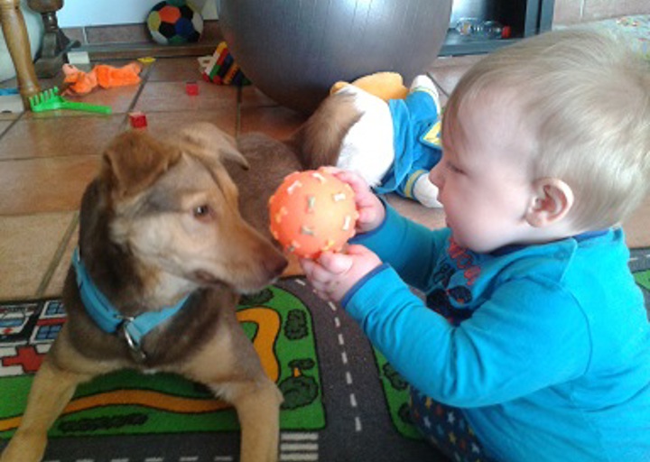 happy_1427488107Biscuit.jpg