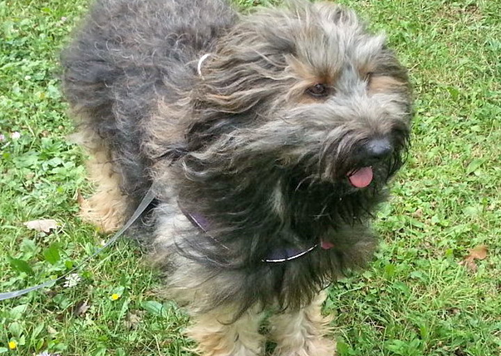 happy_1427487359Kessy_1.jpg