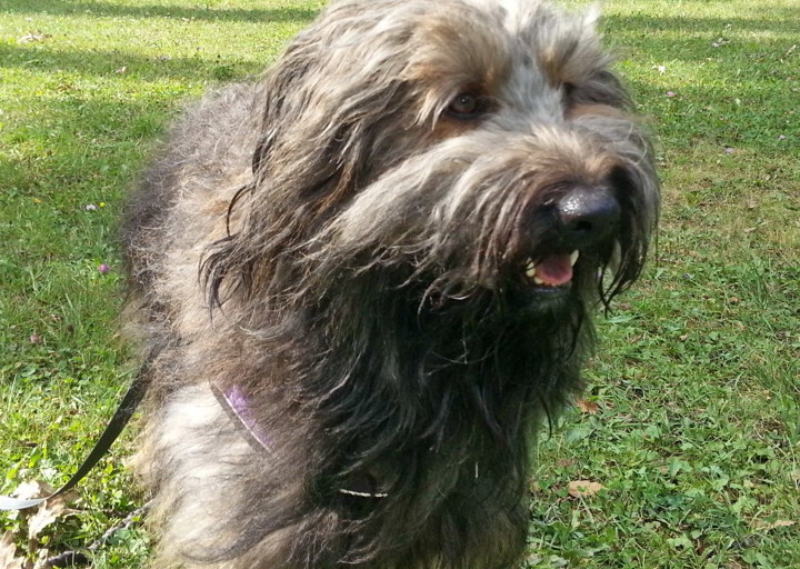 happy_1427487359Kessy_3.jpg