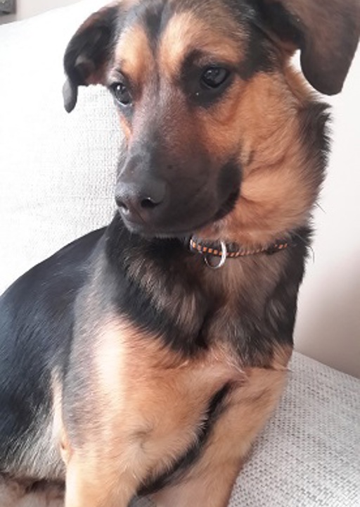 happy_1427486704Neela.jpg