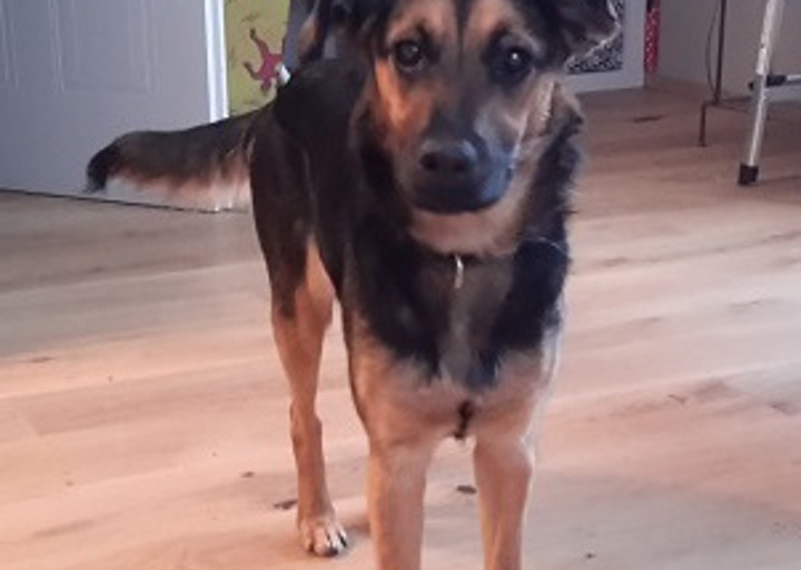 happy_1427486704Neela1.jpg