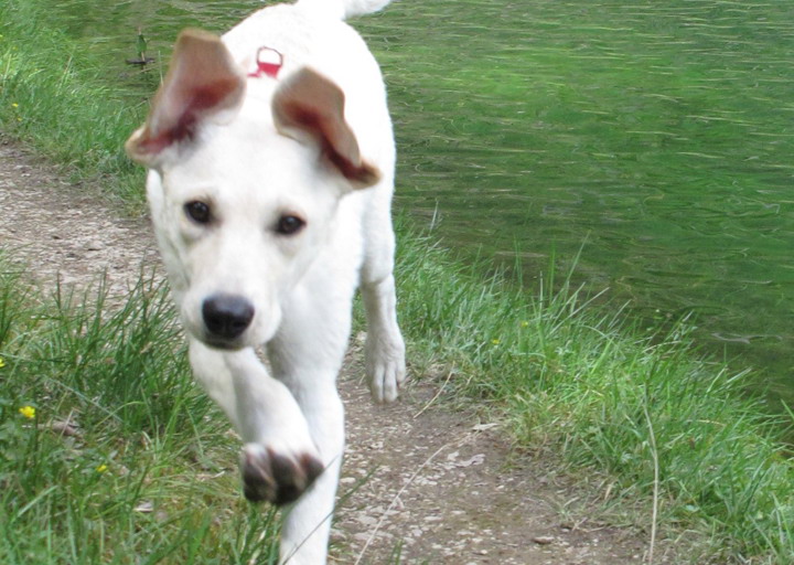 happy_1405021682Vivi_5.jpg
