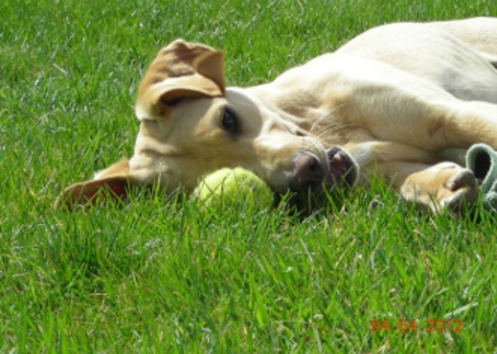 happy_1333907289image1.jpg