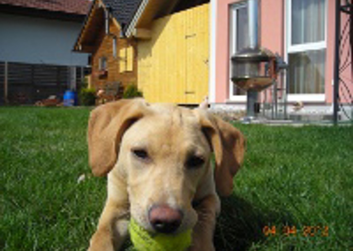 happy_1333907289image3.jpg
