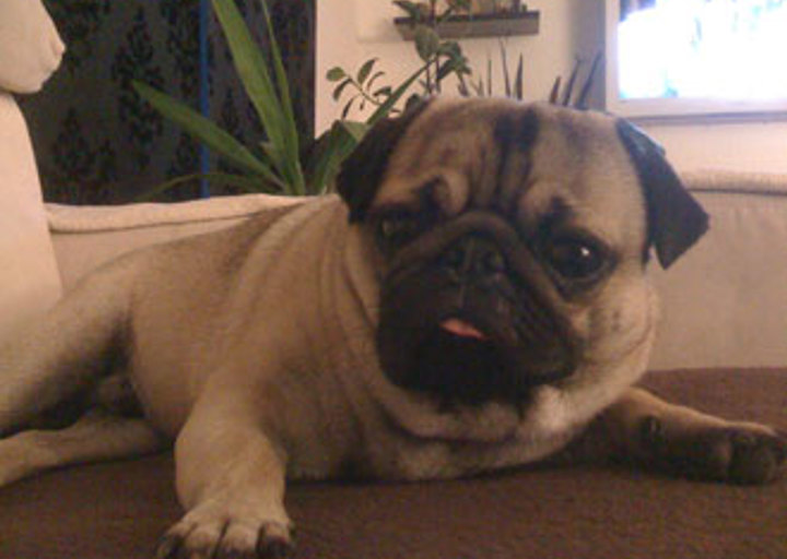 happy_1312317268image1.jpg