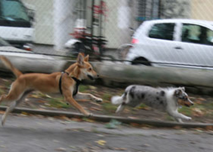 happy_1301245874image1.jpg