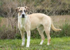 Britta 2 (1)