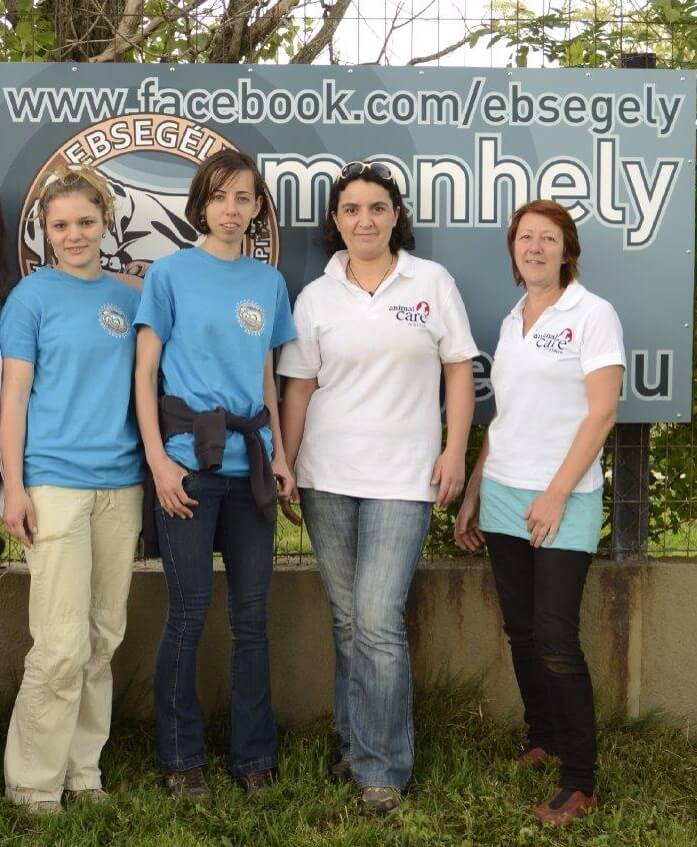 Das veterinärmedizinische Team: (von links nach rechts) Dr. Maria, Dr. Zsuzsa, Dr. Evelyn Skopek und Dr. Ulrike Schicho