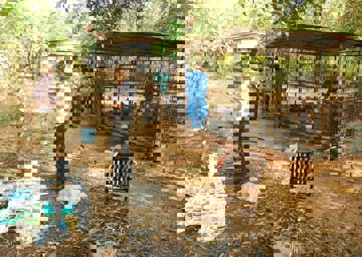 dsc_0031.jpg