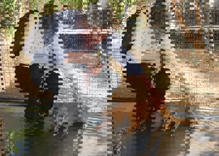 dsc_0330.jpg