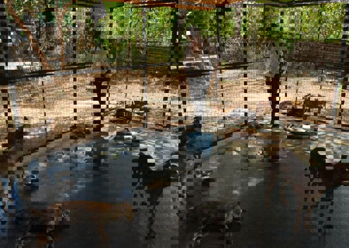 dsc_0333.jpg