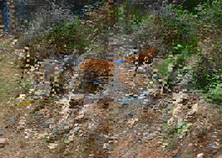 dsc_0399.jpg