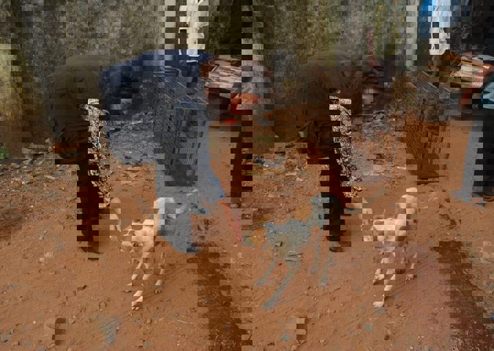 dsc_0405.jpg