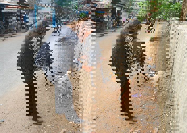dsc_0410.jpg