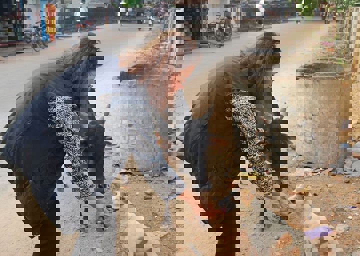dsc_0411.jpg