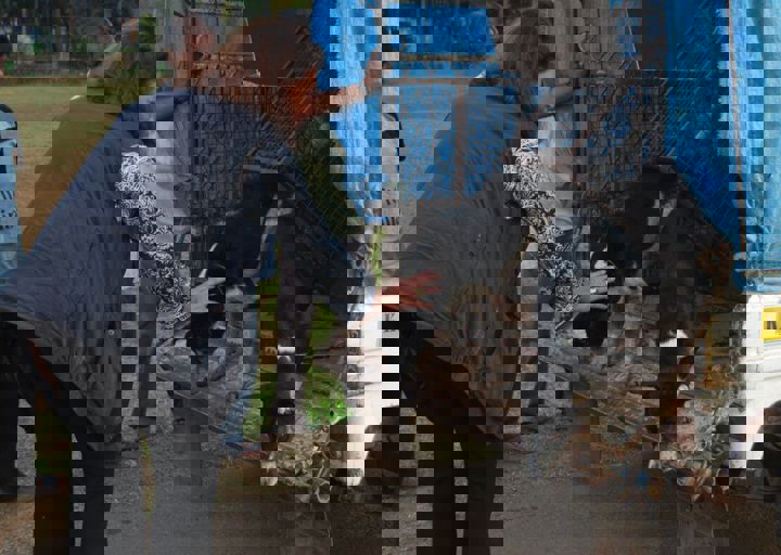 dsc_0430.jpg