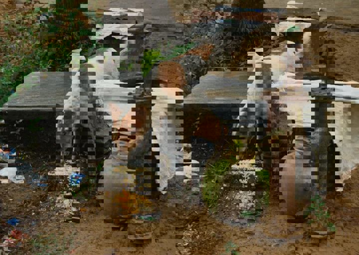 dsc_0446.jpg