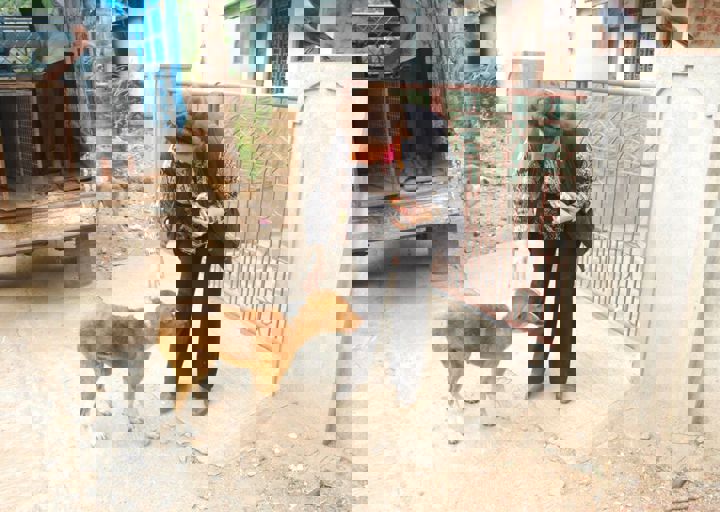 dsc_0472.jpg