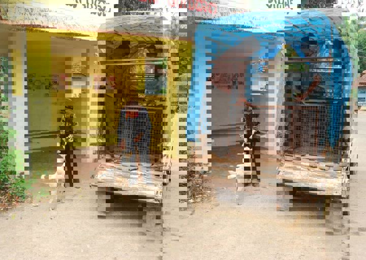 dsc_0479.jpg