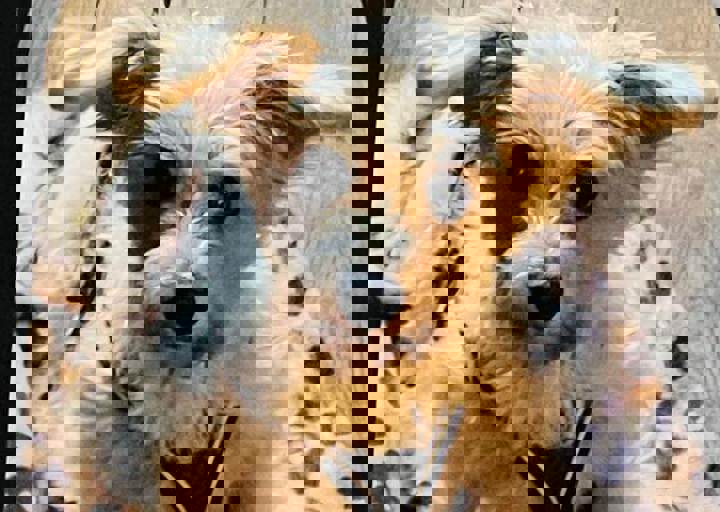 Aca Martys Party 2025 21