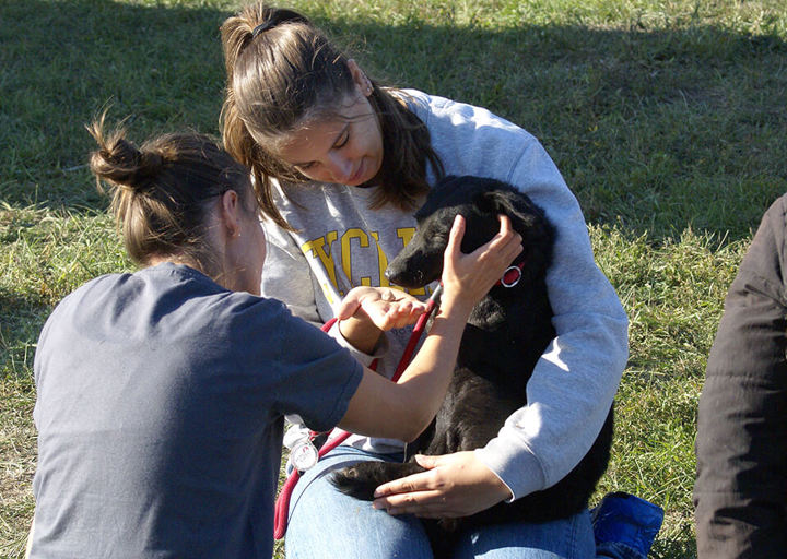 Kopie Von 25 10120603