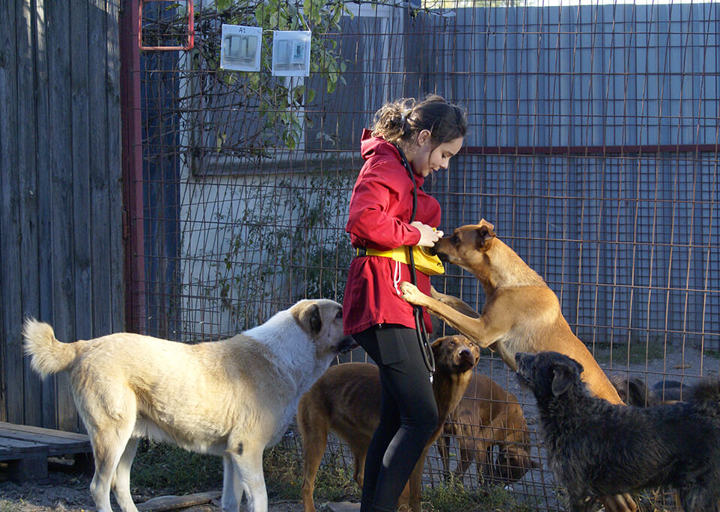 Kopie Von 25 12310514