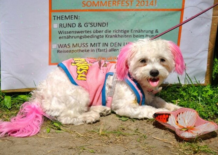 fb_sommerfest2014_1202.jpg