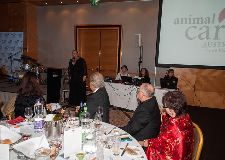 wetlttierschutztagsgala_2014_264.jpg