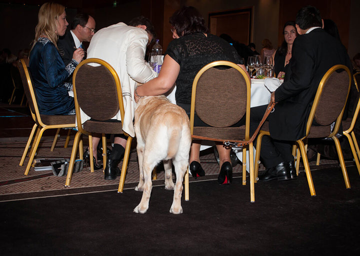 wetlttierschutztagsgala_2014_273.jpg