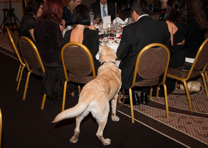 wetlttierschutztagsgala_2014_491.jpg