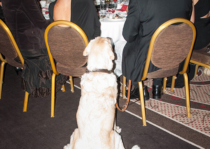 wetlttierschutztagsgala_2014_492.jpg