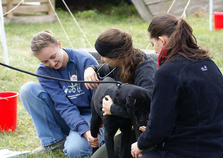 Kopie Von 25 10120455